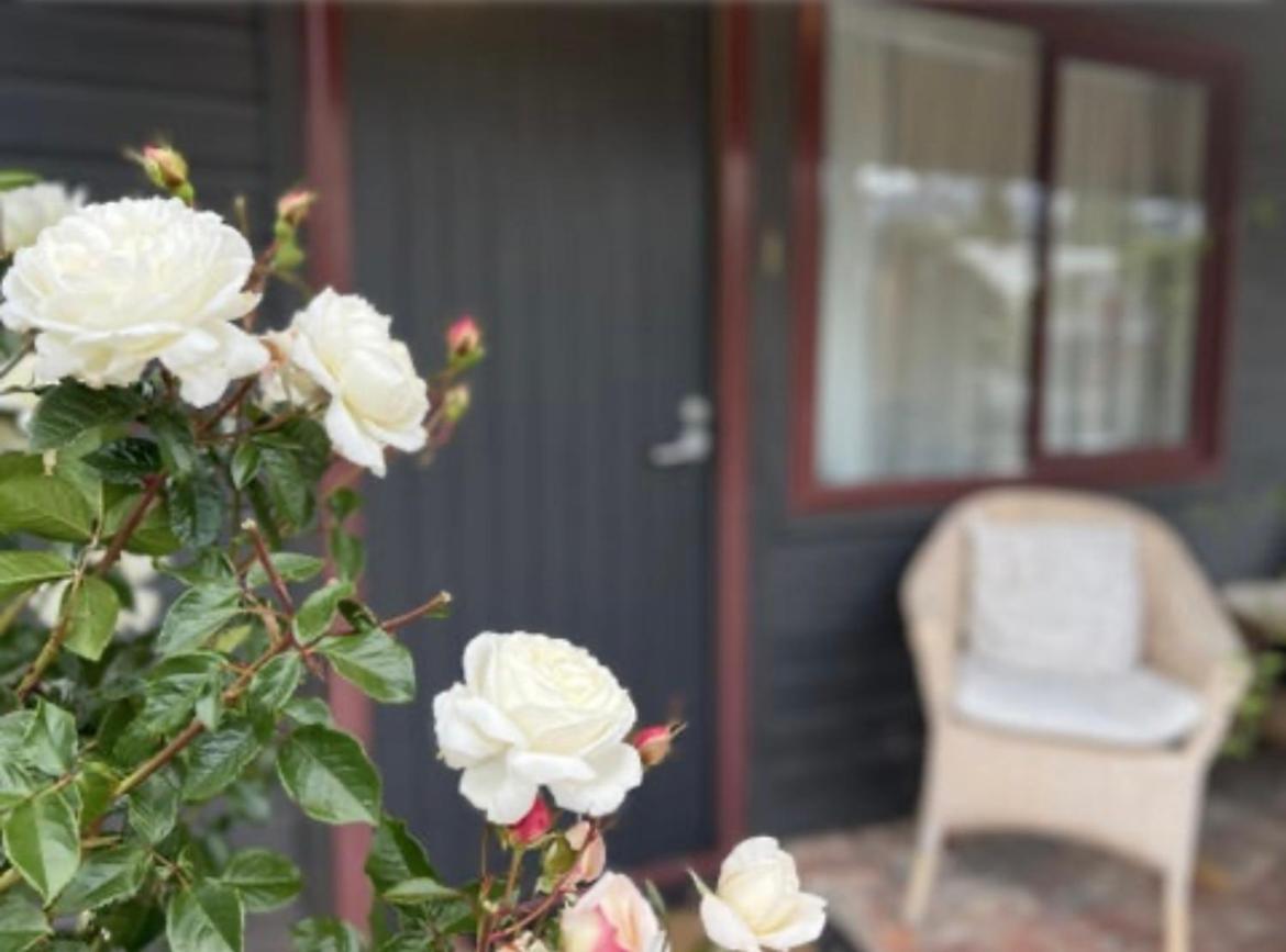 #2 Glenorchy Alpine Suite Esterno foto